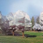 Arbres enveloppés par Christo, Enlèvement ou Envoi