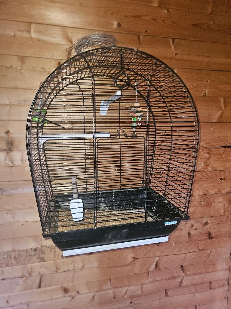 Vogelskooi, Enlèvement, Comme neuf, Métal, Cage à oiseaux