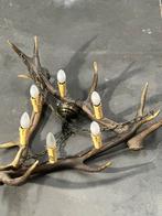 Gewei luster, Ophalen