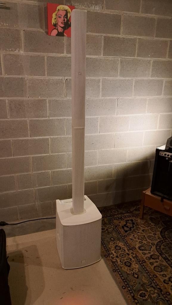 LD SYSTEMS Maui 28 G2, Muziek en Instrumenten, Ophalen