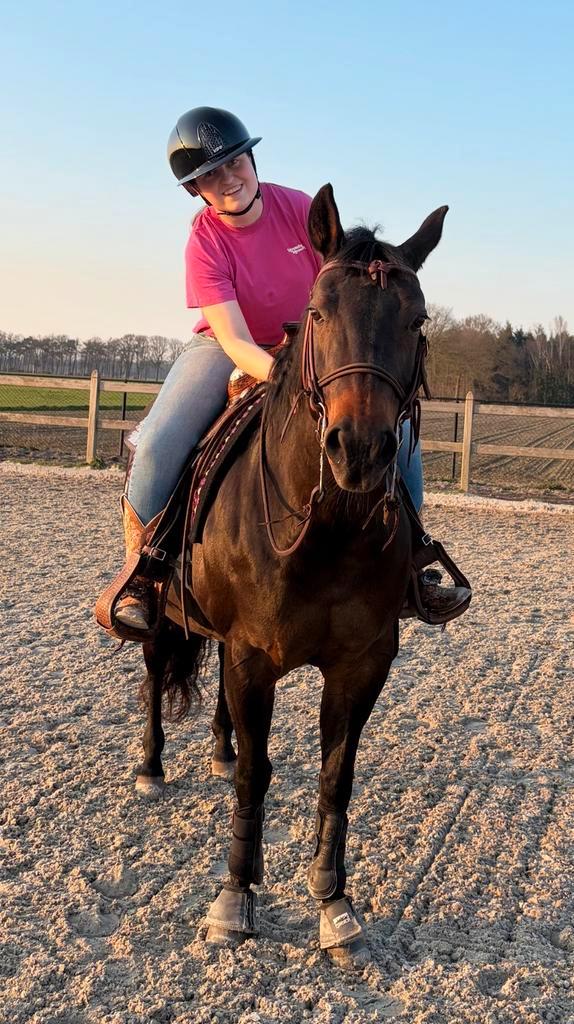 Quarter Horse, Animaux & Accessoires, Chevaux & Poneys | Produits de soin, Comme neuf, Enlèvement