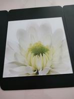 Mooie glazen kader met bloem te koop., Ophalen, Zo goed als nieuw