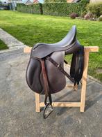 Wintec 500 hart, Animaux & Accessoires