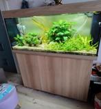 AQUARIUM JUWEL 240 led, Dieren en Toebehoren, Ophalen, Gebruikt, Overige typen