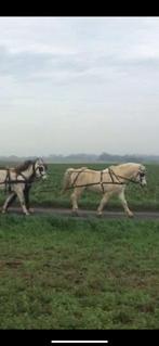 pony tuig en andere toebehoren, Dieren en Toebehoren, Ophalen of Verzenden, Zo goed als nieuw