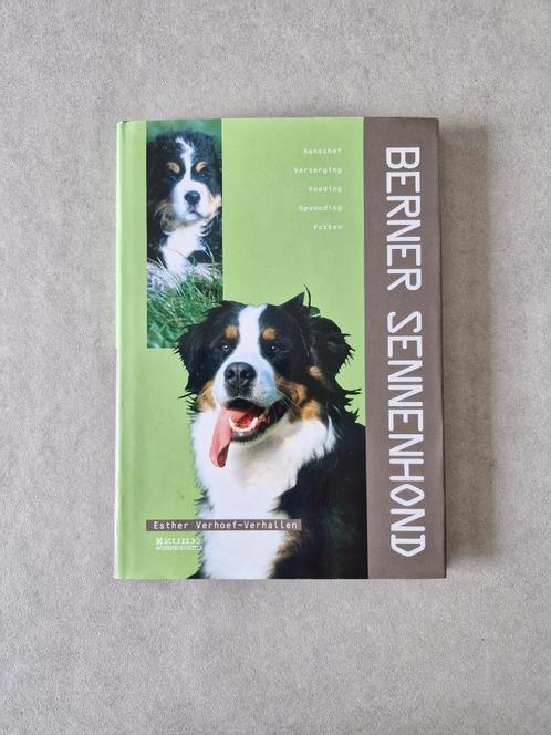 Berner Sennenhond - Esther Verhoef-Verhallen, Livres, Animaux & Animaux domestiques, Chiens, Enlèvement ou Envoi