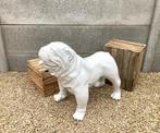 Engelse bulldog tuinbeeld  70cm x 90cm, Tuin en Terras, Ophalen, Nieuw, Overige materialen, Dierenbeeld