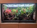 Terrarium Rana, Dieren en Toebehoren, Reptielen en Amfibieën | Toebehoren, Ophalen, Zo goed als nieuw, Verlichting
