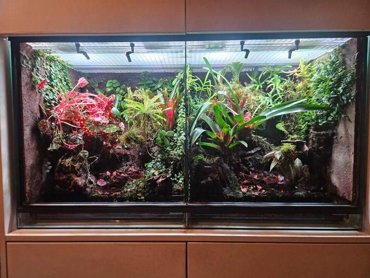 Terrarium Rana, Dieren en Toebehoren, Reptielen en Amfibieën | Toebehoren, Zo goed als nieuw, Verlichting, Ophalen
