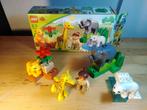 Lego Duplo 4962 - Le Zoo des bébés animaux - 2006, Ophalen of Verzenden, Zo goed als nieuw, Complete set, Duplo