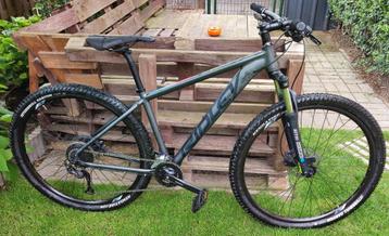 Ridley Blast 29'er