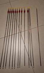 Pijlen Nano Pro X-treme, Easton ACE, FivicsTenPro, Accmos., Sport en Fitness, Handboogschieten, Ophalen of Verzenden, Gebruikt