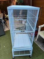 Grote vogelkooi, Dieren en Toebehoren, Vogels | Hokken en Kooien, Ophalen, Zo goed als nieuw, Vogelkooi