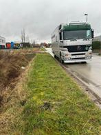 Paardenvrachtwagen mercedes mega space 6paarden, Automaat, Mercedes-Benz, Bedrijf, Diesel