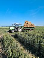 Kleine balen hooi, Zakelijke goederen, Landbouw | Veevoer, Ophalen