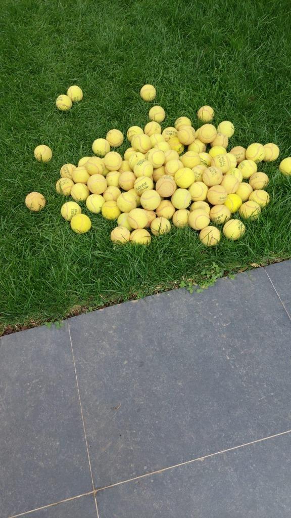 massa 2de hands tennisballen, Dieren en Toebehoren, Honden-accessoires, Gebruikt, Ophalen