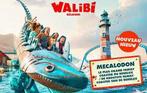 4 Walibi tickets (100€ vaste prijs), Drie personen of meer, Ticket of Toegangskaart