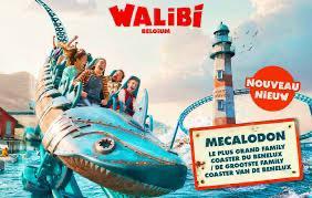 4 Walibi tickets (100€ vaste prijs), Trois personnes ou plus, Ticket ou Carte d'accès