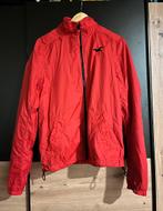 Jas hollister, Enlèvement ou Envoi, Porté, Taille 48/50 (M), Rouge