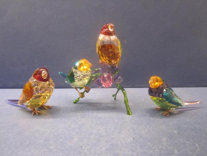 Swarovski SCS 2024 Idyllia Gouldamadine set van 3 stuks, Verzamelen, Swarovski, Nieuw, Figuurtje, Ophalen of Verzenden