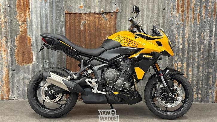 Triumph Tiger Sport 800: Cosmic Yellow, Motoren, Motoren | Triumph, Bedrijf, Toermotor, meer dan 35 kW, 3 cilinders, Motorrijbewijs A