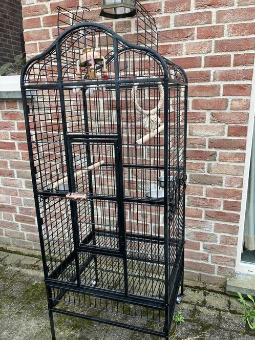PAPEGAAIENKOOI MET OPEN DAK EN TOEBEHOREN NU 160 EURO, Dieren en Toebehoren, Vogels | Hokken en Kooien, Zo goed als nieuw, Volière