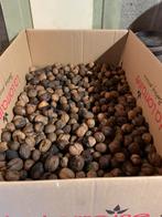 6 kg okkernoten, Ophalen