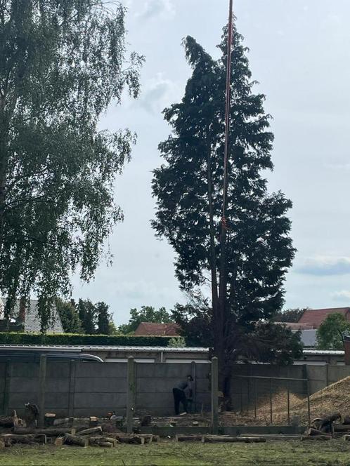 Bomen vellen, Diensten en Vakmensen, Tuinmannen en Stratenmakers