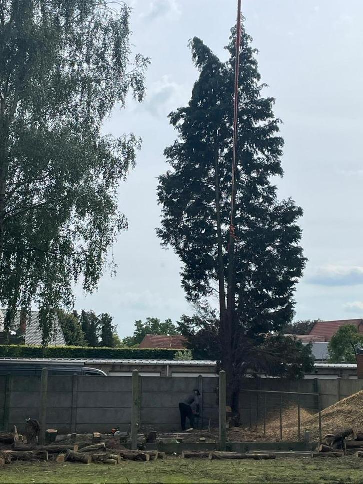 Bomen vellen, Diensten en Vakmensen, Tuinmannen en Stratenmakers