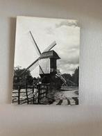 Verschillende schilderijen, Verzamelen, Postkaarten | Nederland, Ophalen of Verzenden