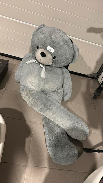 Reuze teddy beer beschikbaar voor biedingen