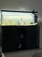 Aquarium te koop met toebehoren, Enlèvement, Comme neuf