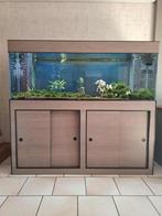 Aquarium 500L et meuble, Animaux & Accessoires, Enlèvement, Utilisé