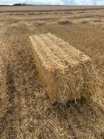 Ballots paille 120/70/60 pour chevaux, Enlèvement