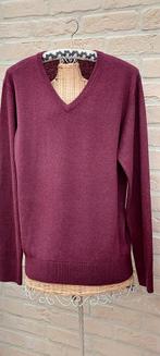 Trui maat m Tim moore, Kleding | Heren, Overige kleuren, Maat 48/50 (M), Tim moore, Ophalen of Verzenden