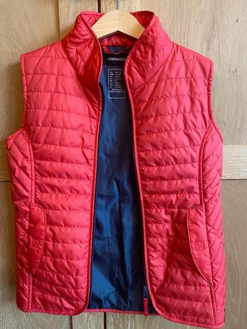 Bodywarmer meisje maat 140 beschikbaar voor biedingen