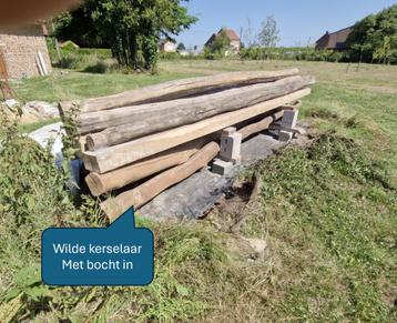 Wilde Kerselaar balk , gepeld en droog beschikbaar voor biedingen
