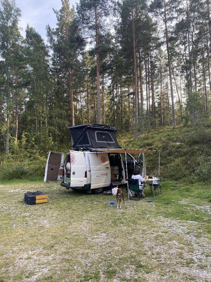 Volkswagen Transporter T6 met camper ombouw en daktent, Auto's, Volkswagen, Particulier, Transporter, Airbags, Airconditioning