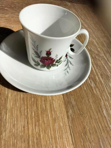 Red Rose Bavaria Eschenbach Duitsland Kop en schotel beschikbaar voor biedingen