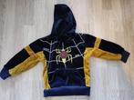 Warme trui - maat 92-98, Ophalen, Gebruikt, Jongen, Trui of Vest