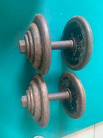 Dumbells 2x12 + 2x16 kg, Sport en Fitness, Fitnessmaterialen, Ophalen, Gebruikt, Halterset