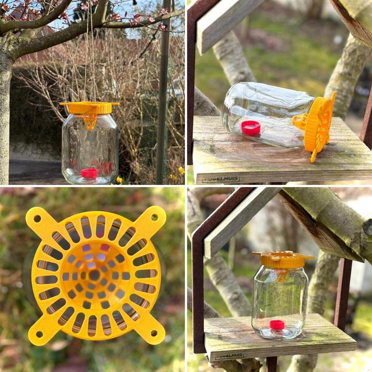 Set van 4 - Aziatische hoornaar val, Tuin en Terras, Overige Tuin en Terras, Nieuw, Ophalen of Verzenden