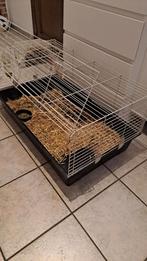 Konijnenkooi - mag gratis weg !, Animaux & Accessoires, Rongeurs & Lapins | Cages & Clapiers, Enlèvement, Utilisé