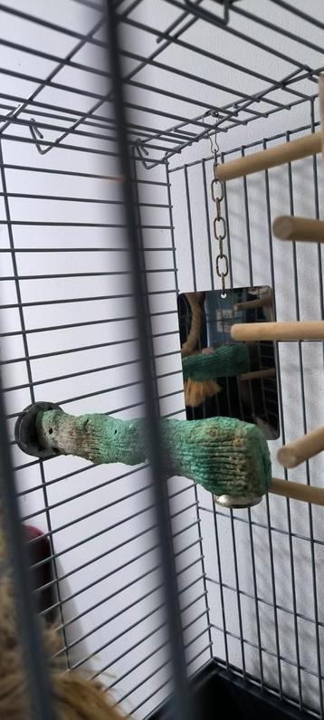 Kooi  beschikbaar voor biedingen