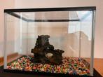 Aquarium + accesoires, Dieren en Toebehoren, Ophalen, Zo goed als nieuw, Leeg aquarium