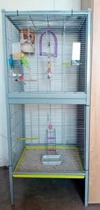Couple de perruches avec une grande cage, Animaux & Accessoires, Oiseaux | Cages & Volières, Comme neuf, Enlèvement ou Envoi