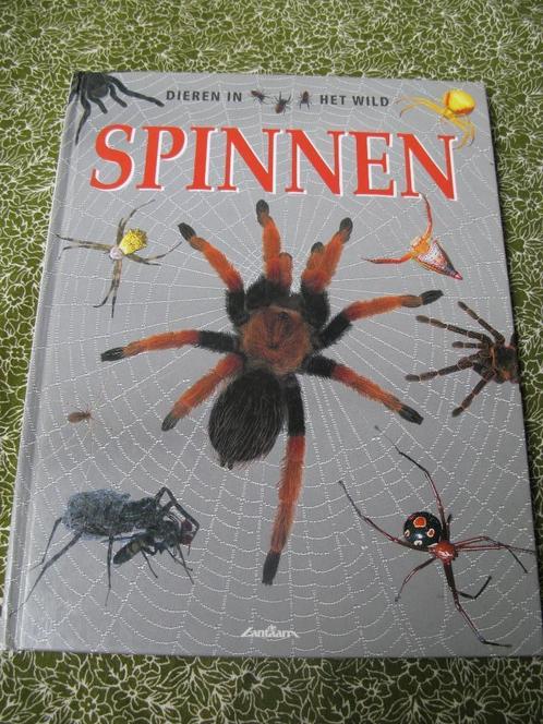 boek over spinnen informatief / non-fictie, Boeken, Kinderboeken | Jeugd | 10 tot 12 jaar, Gelezen, Non-fictie, Ophalen of Verzenden