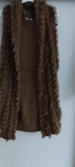 gilet San Martino / roestbruin /verwerkt met pels, Bruin, Verzenden, Gedragen, Maat 38/40 (M)
