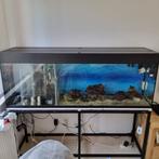 aquarium 150 cm lang met ijzer onderstel, Animaux & Accessoires, Poissons | Aquariums & Accessoires, Enlèvement, Utilisé, Aquarium vide