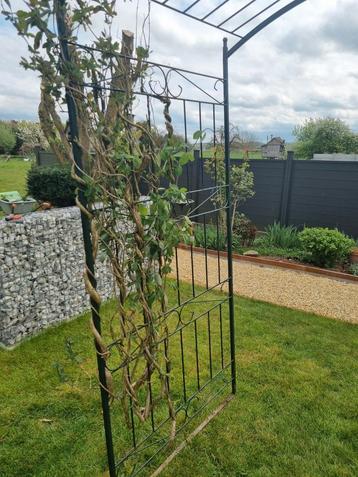 Elegante tuinboog 100 x 160 x 220 beschikbaar voor biedingen